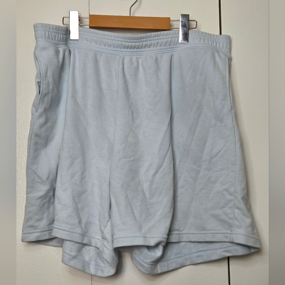 H&M Women's XL Baby Blue Women's Shorts (Stained)